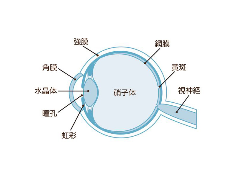 裂孔原性網膜剥離